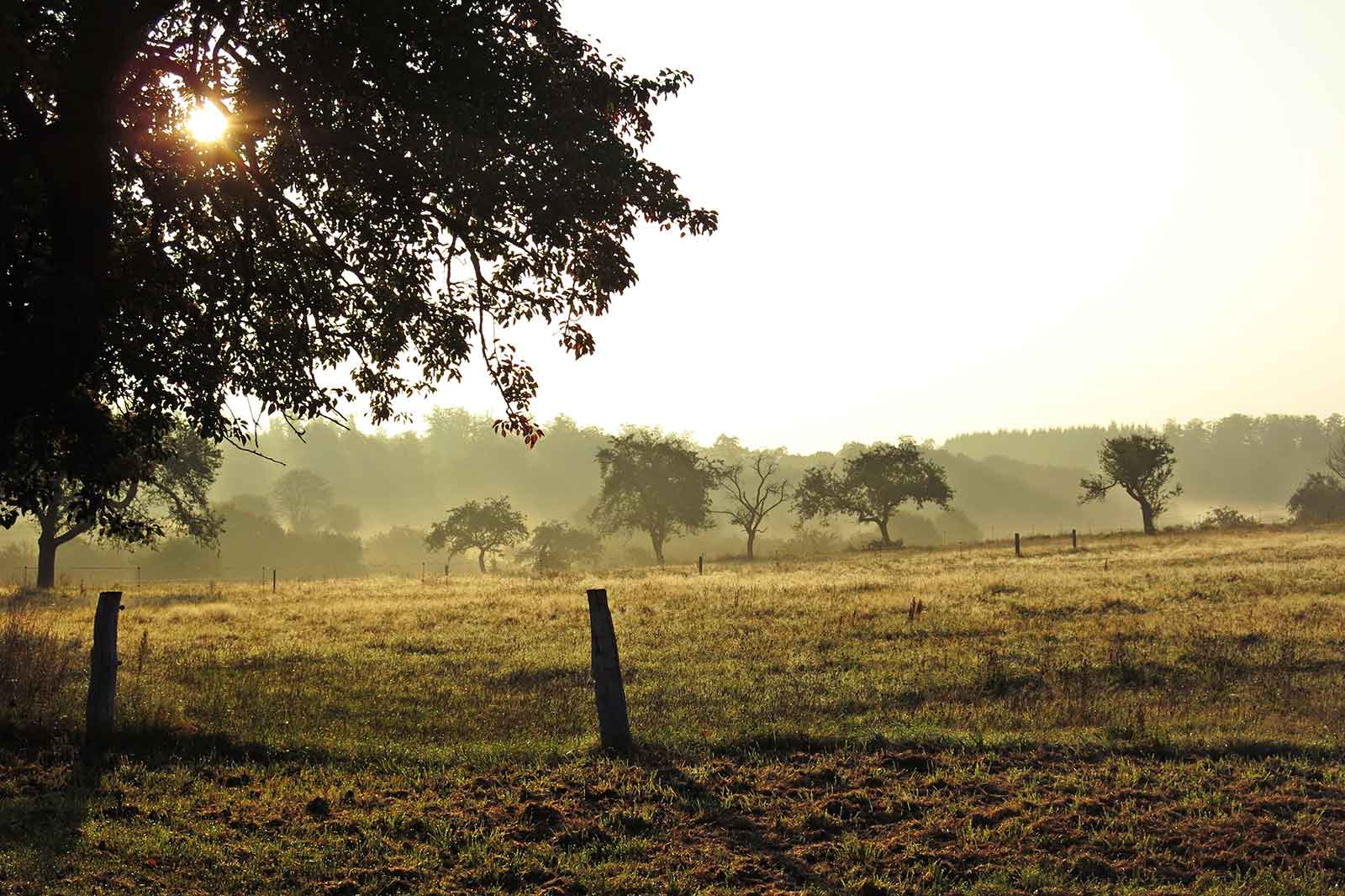 Landschaft rund um Kurtscheid