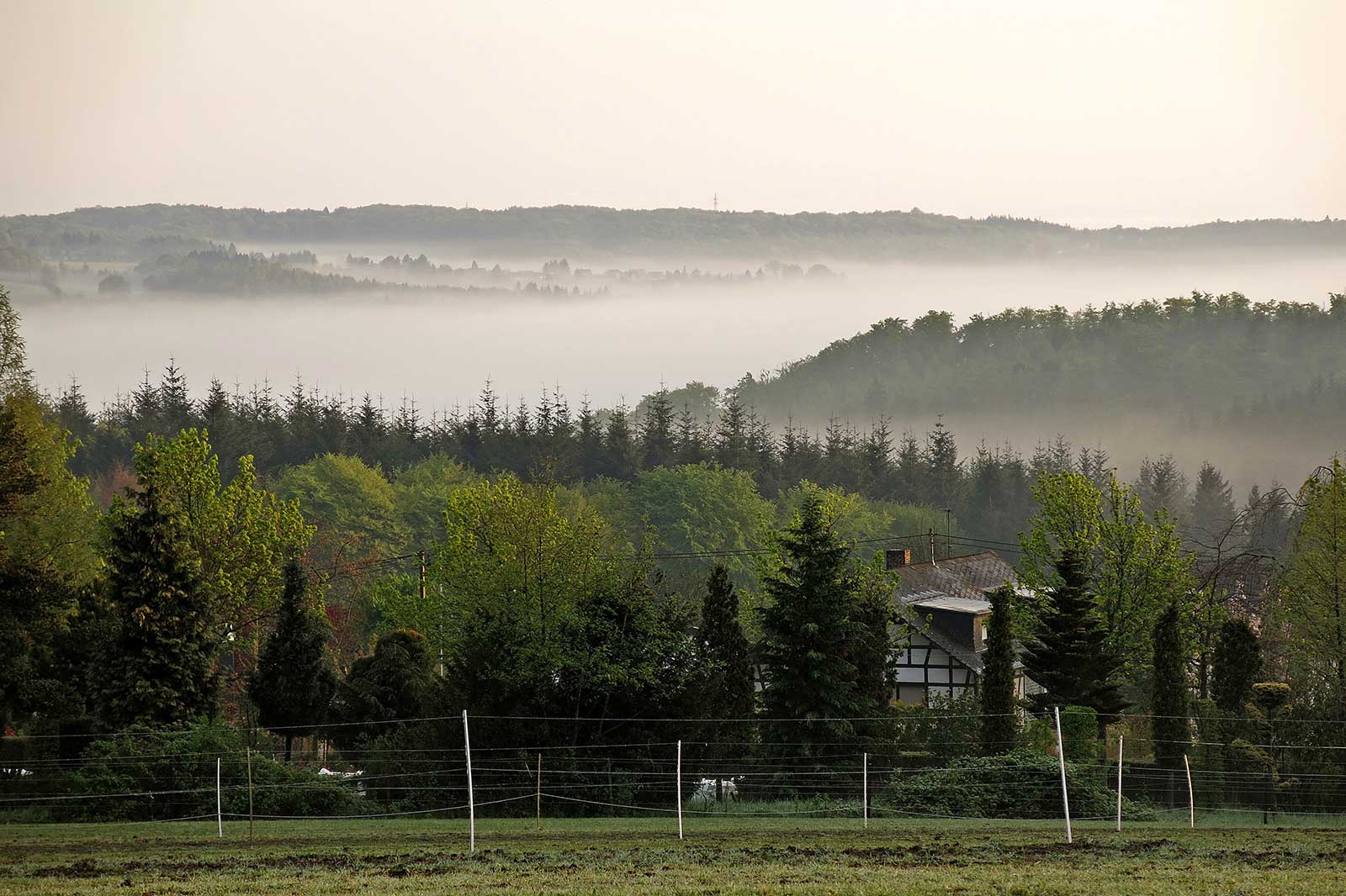 Landschaft rund um Kurtscheid